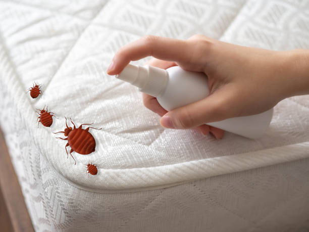 Best Pest Control Near Me in Coralville, IA