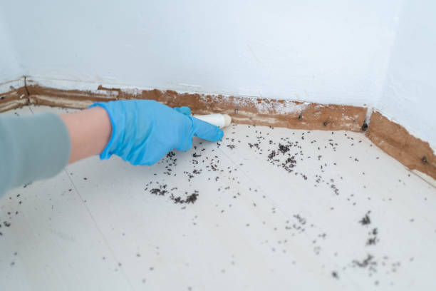 Wildlife Control Services in Coralville, IA